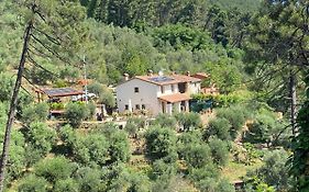 Rivolta Home