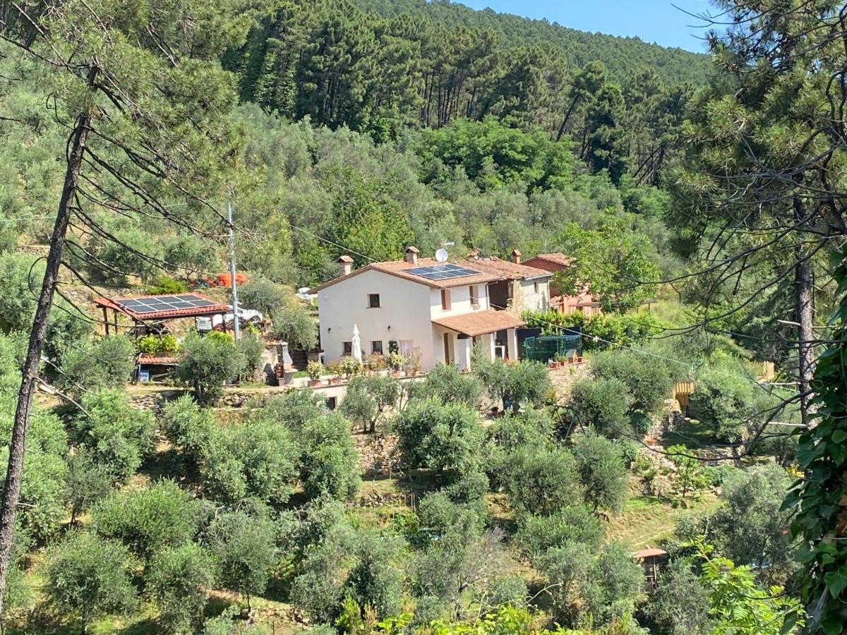 Rivolta Home Buti Exterior foto
