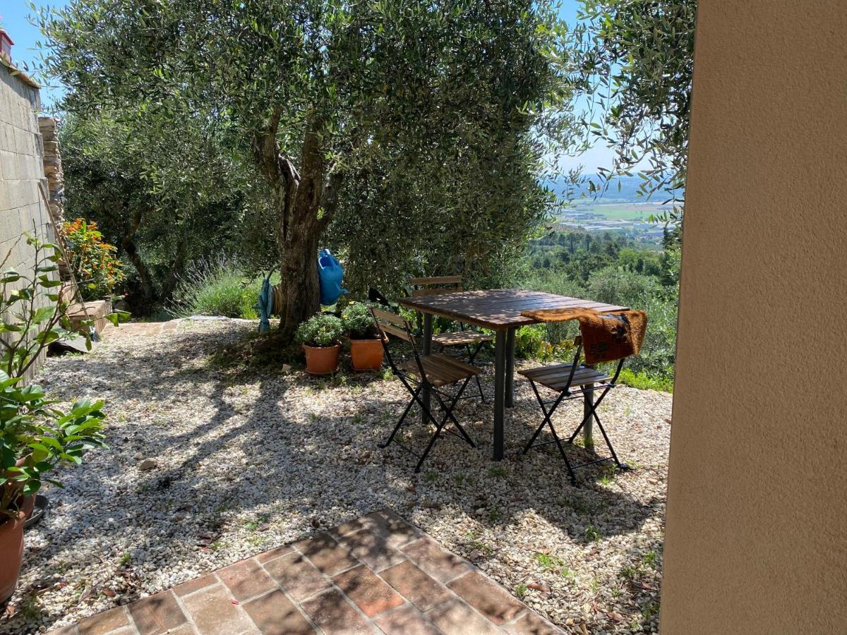 Rivolta Home Buti Exterior foto